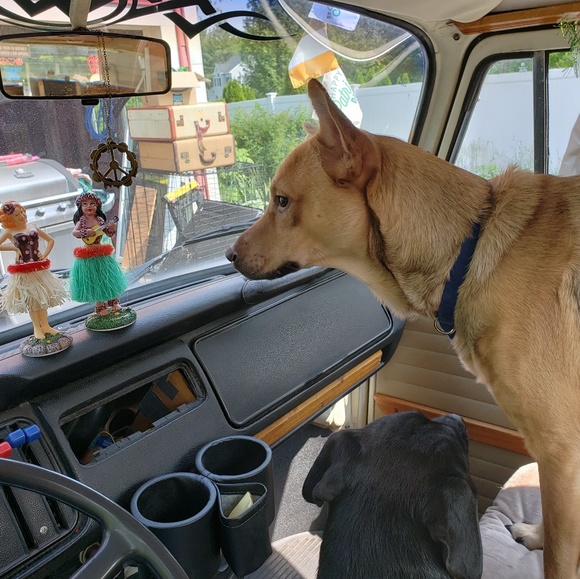 Meet your Posher, Lisa - Picture 5 of 7